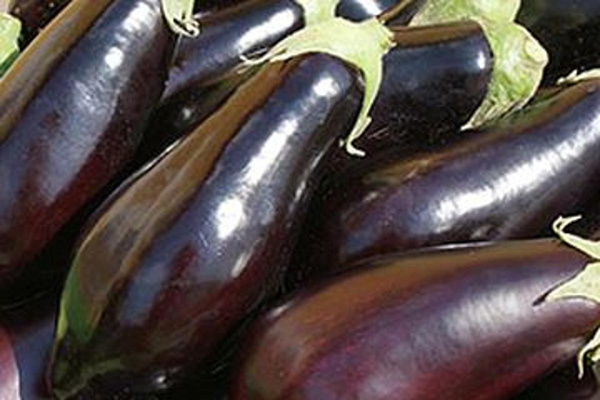 Produktfoto zu Auberginen