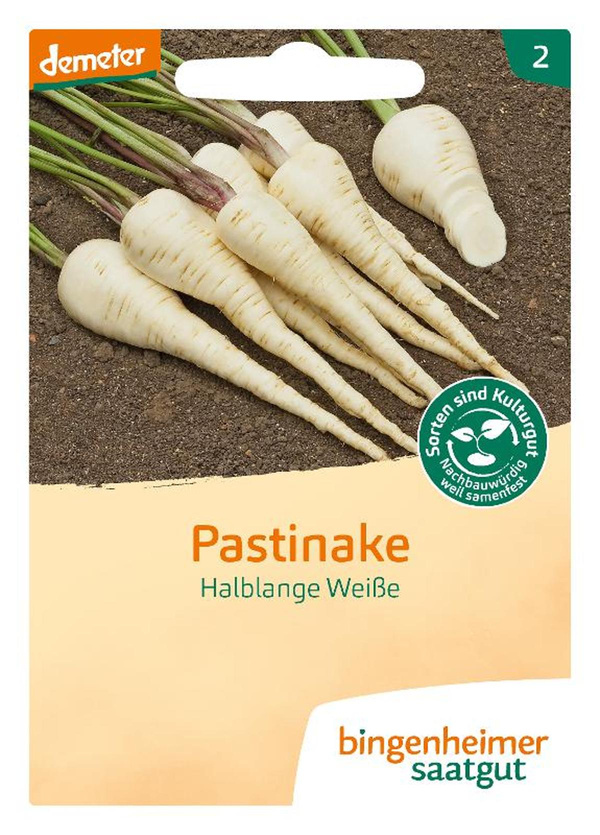 Produktfoto zu Saatgut Pastinaken Halblange Weiße