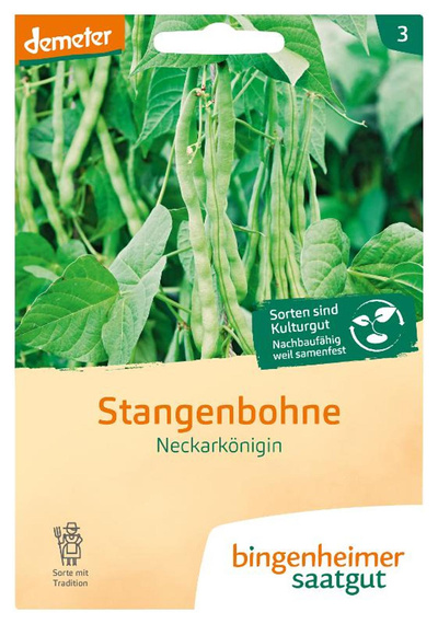 Produktfoto zu Saatgut Stangenbohnen Neckarkönigin