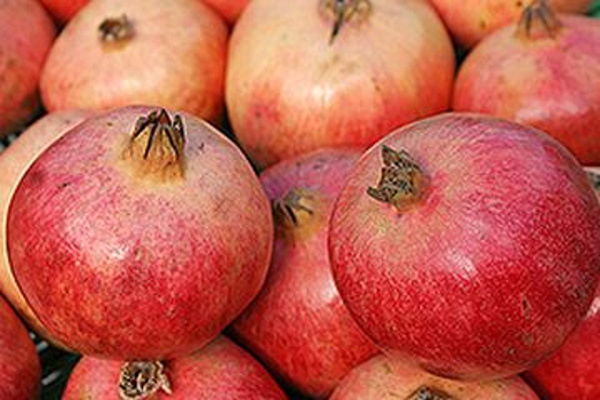 Produktfoto zu Granatapfel