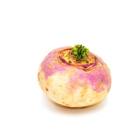 KI generiert: Eine einzelne Steckrübe auf weißem Hintergrund.