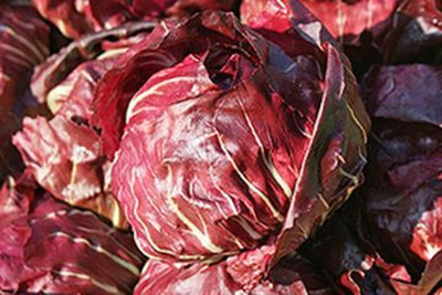 Produktfoto zu Radicchio HBH