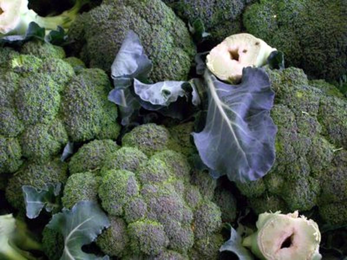 Broccoli