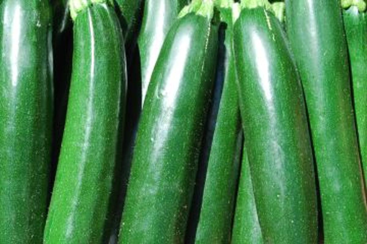 Zucchini