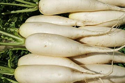 Produktfoto zu Rettich weiß