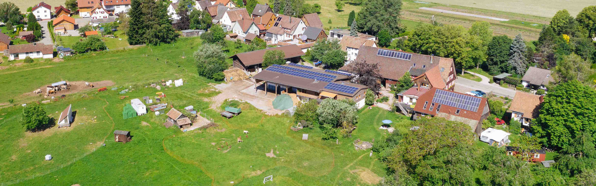 KI generiert: Das Bild zeigt eine weite, grüne Wiese unter einem strahlend blauen Himmel mit einigen verstreuten Gebäuden und Bäumen im Hintergrund. Der Hauptinhalt des Bildes ist die ruhige, ländliche Landschaft.