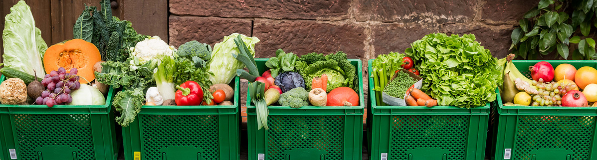 KI generiert: Eine Möwe steht auf einem sandigen Hügel am Strand. Der Hügel ist mit ein paar Algen verziert.