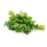 KI generiert: Ein Bündel frische Petersilie auf weißem Hintergrund.