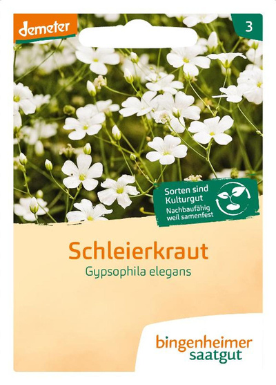 Produktfoto zu Saatgut Schleierkraut
