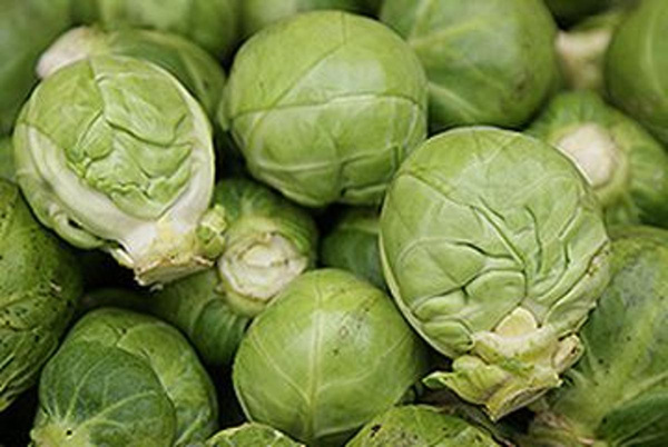 Produktfoto zu Rosenkohl HBH