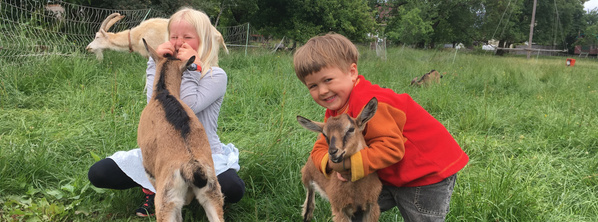 KI generiert: Auf dem Bild sind zwei Kinder zu sehen, die auf einer Wiese mit kleinen Ziegen spielen. Die Szene vermittelt Freude und Naturverbundenheit.