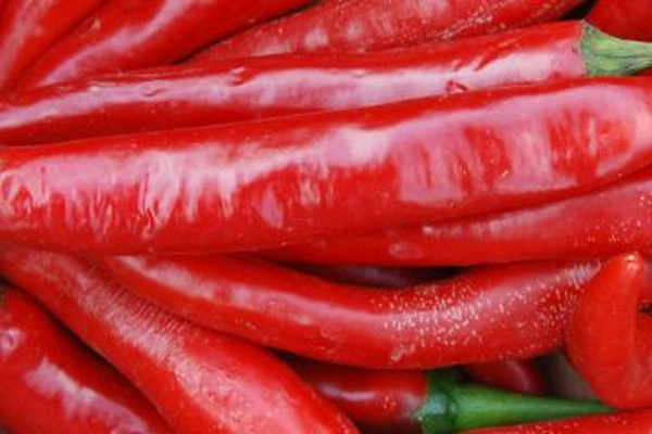 Produktfoto zu Peperoni rot scharf