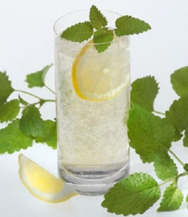 Produktfoto zu Zitronenmelisse HBH