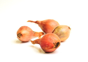 KI generiert: Vier Schalotten auf weißem Hintergrund.