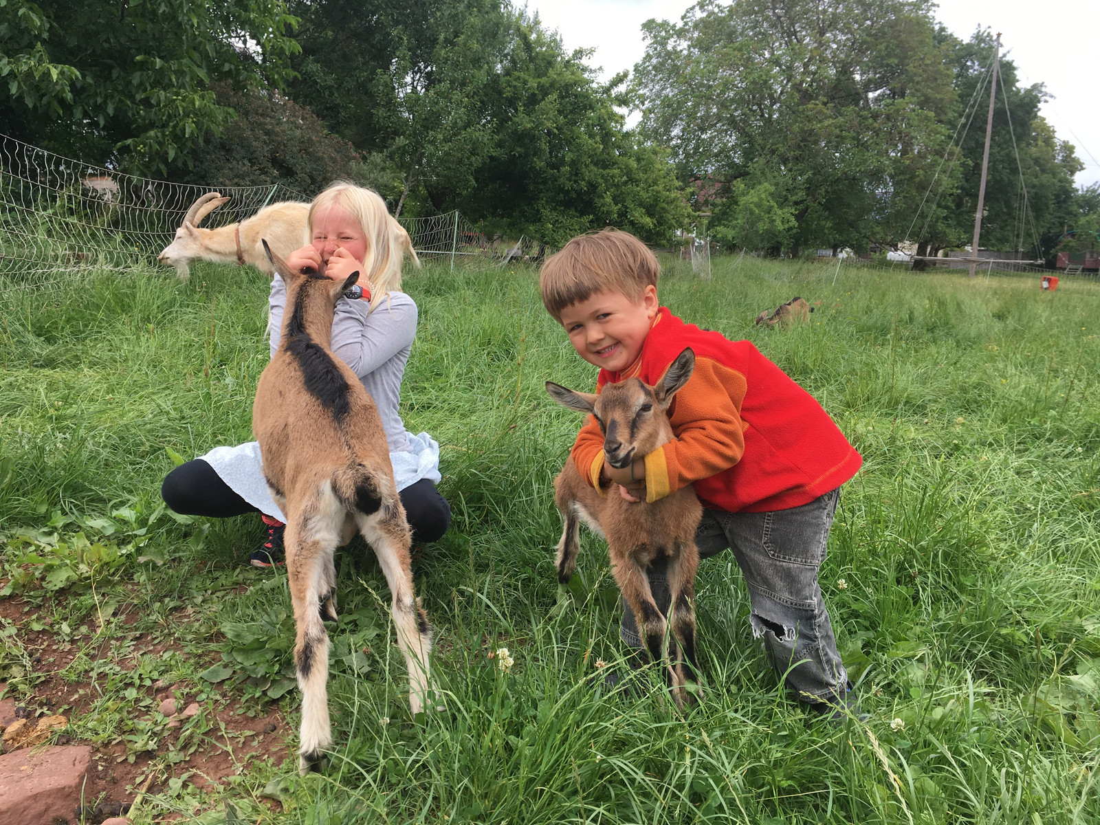 KI generiert: Auf dem Bild sind zwei Kinder zu sehen, die auf einer Wiese mit kleinen Ziegen spielen. Die Szene vermittelt Freude und Naturverbundenheit.