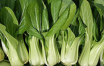 KI generiert: Frischer Pak Choi in einer Reihe angeordnet, grüne Blätter und helle Stiele sichtbar.