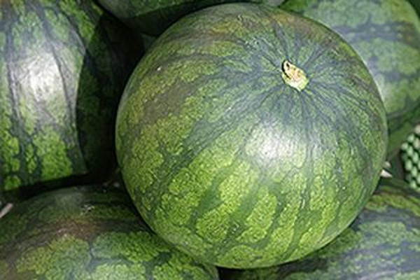 Produktfoto zu Wassermelone