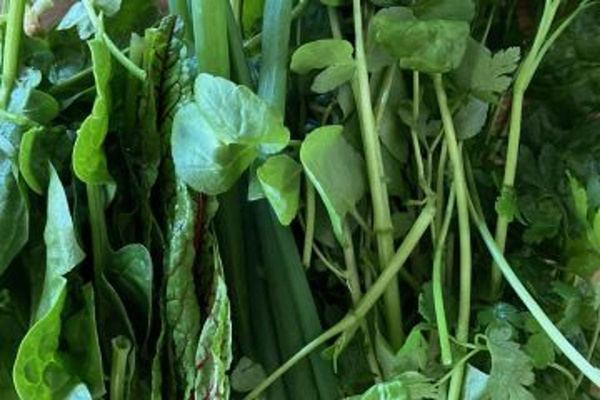 Produktfoto zu Kräuter Mix-Grüne Soße