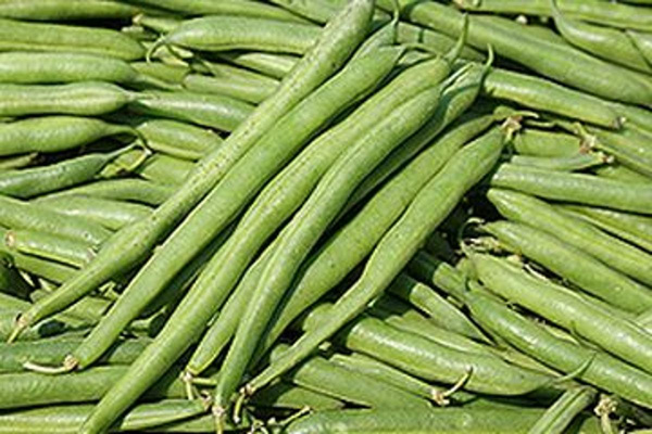 Produktfoto zu Buschbohnen HBH