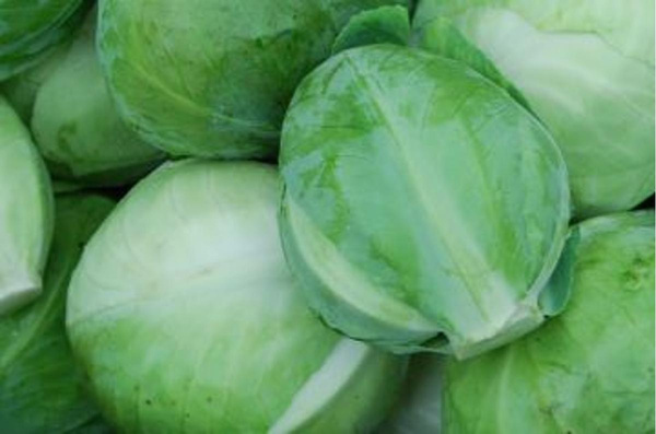 Produktfoto zu Weißkohl HBH