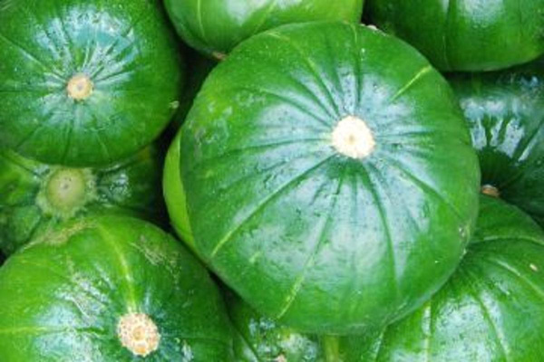 Produktfoto zu Zappho HBH, sf