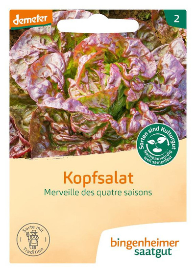 Produktfoto zu Saatgut Kopfsalat rot Merveille de 4 Saisons