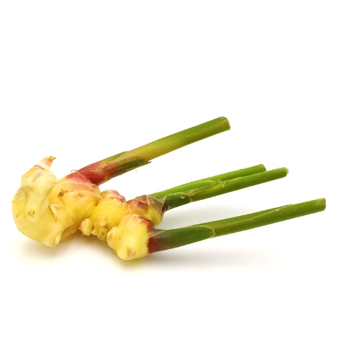 KI generiert: Frischer Ingwer mit langen grünen Stielen auf weißem Hintergrund.