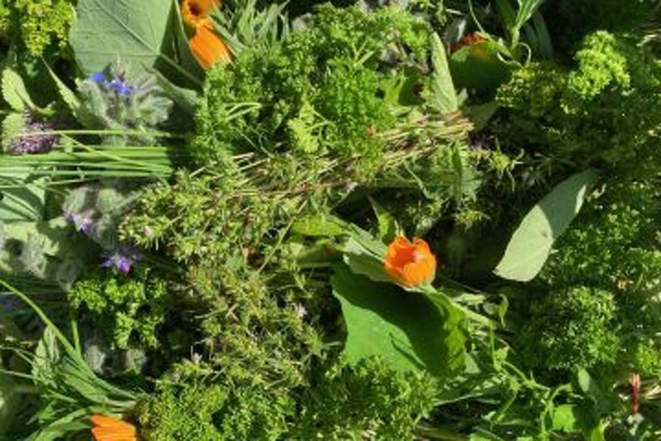 Produktfoto zu Mixkräuter HBH