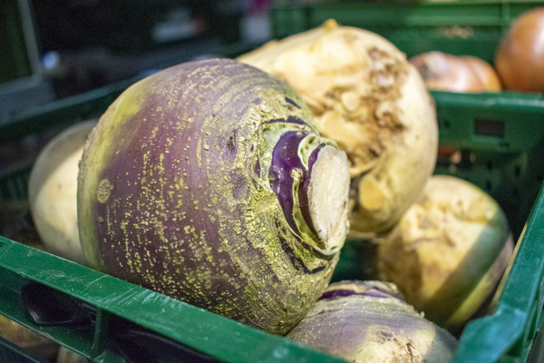 Produktfoto zu Steckrüben HBH