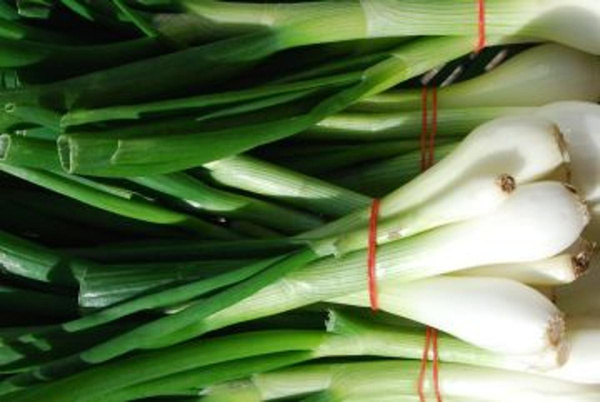 Produktfoto zu Lauchzwiebeln HBH sf