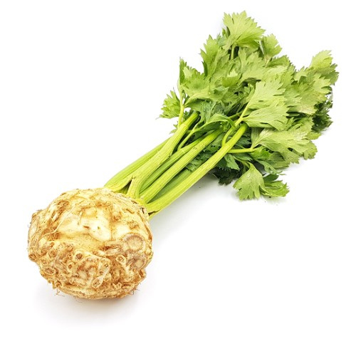 KI generiert: Knollensellerie mit grünen Blättern auf weißem Hintergrund.