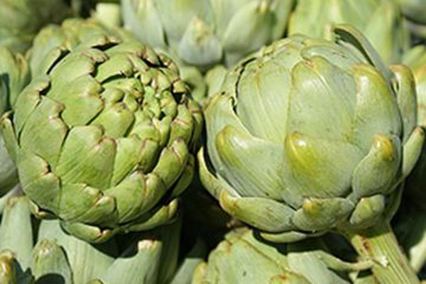 Produktfoto zu Artischocken