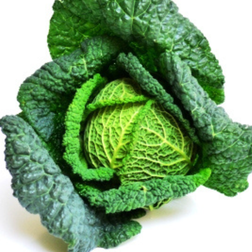 KI generiert: Ein frischer Kohlkopf mit grünen, gewellten Blättern auf weißem Hintergrund.