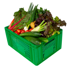 Produktfoto zu Rohkostkiste