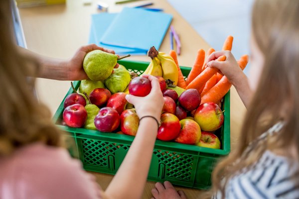 KI generiert: Eine grüne Kiste voller Äpfel, Karotten, Birnen und Bananen wird von zwei Personen sortiert.
