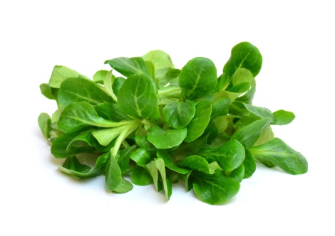 KI generiert: Ein Bündel frischer Feldsalat-Bätter auf weißem Hintergrund.