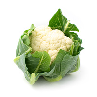 KI generiert: Ein Blumenkohl mit frischen grünen Blättern auf weißem Hintergrund.