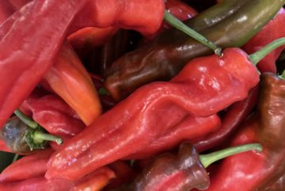 Produktfoto zu Spitzpaprika rot