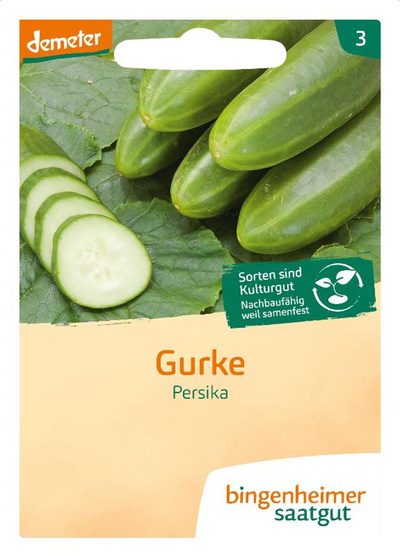 Produktfoto zu Saatgut Freilandgurken Persika