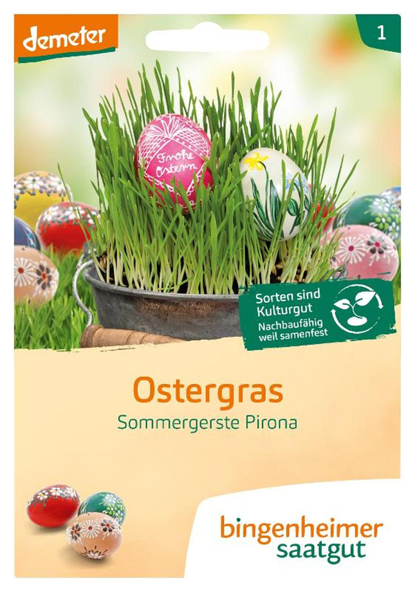 Produktfoto zu Saatgut Ostergras