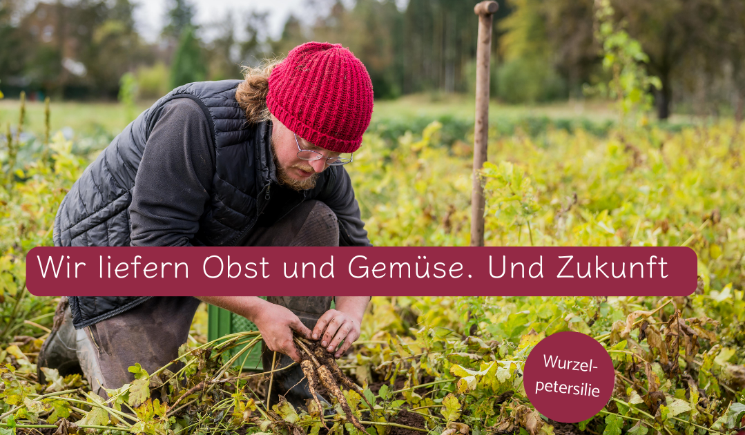 KI generiert: Ein Mensch erntet Wurzelpetersilie. Text: "Wir liefern Obst und Gemüse. Und Zukunft."
