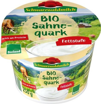 Produktfoto zu Sahnequark 40%