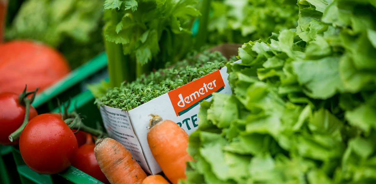 KI generiert: Das Bild zeigt eine lange, schlängelnde Straße in einer ländlichen Landschaft, gesäumt von Feldern mit Heuballen. Im Hintergrund erheben sich majestätische Berge unter einem bewölkten Himmel.
