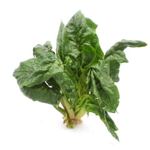 KI generiert: Frischer Blattspinat auf weißem Hintergrund.