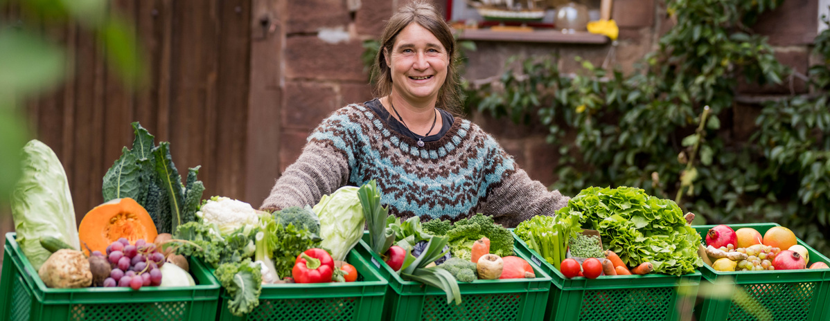 KI generiert: Ein Mann kniet in einem Kürbisfeld und hält einen großen Kürbis in den Händen. Die Szene spielt sich in einer ländlichen Umgebung mit Feldern im Hintergrund ab.