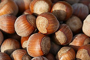 KI generiert: Eine Nahaufnahme von vielen Haselnüssen.