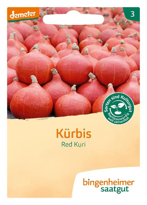 Produktfoto zu Saatgut Hokkaidokürbis Red Kuri