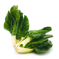 KI generiert: Zwei Bündel frischer Mangold auf weißem Hintergrund.