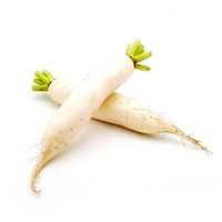 KI generiert: Zwei weiße Rettiche mit grünem Blattansatz, überkreuzt liegend auf weißem Hintergrund.