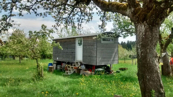KI generiert: Das Bild zeigt einen kleinen, aufgebockten Holzwagen auf einer grünen Wiese unter einem Baum. Der Wagen steht in einer ländlichen Umgebung mit Bäumen im Hintergrund.